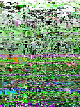 perfectguy4u online show from 10/28/25, 08:52