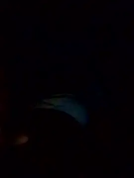 Snapshot of Poonam12A chatting on 02/06/26, 07:54 Poonam12A online show from 02/06/26, 07:54