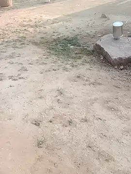 Babita ranni online show from 11/11/25, 01:50