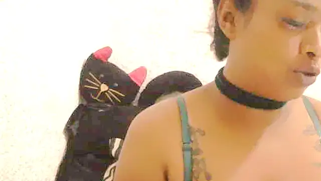 DOVE85 online show from 12/14/25, 08:20