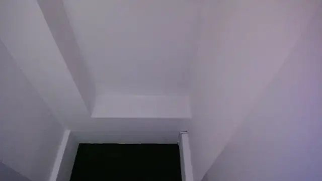 velvetvixen t online show from 12/20/25, 12:19