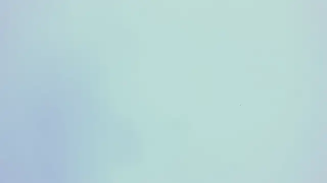 PariisTaylor online show from 10/29/25, 07:46