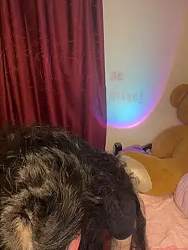 wetbyAlice online show from 02/20/26, 12:51