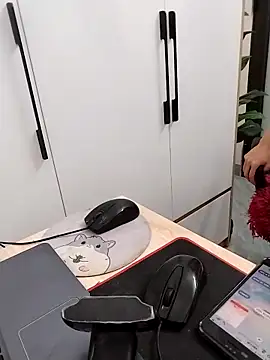 Tammy meri online show from 03/17/26, 11:08