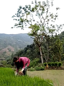 Noelle-e online show from 04/11/26, 10:41