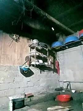 Noelle-e online show from 03/20/26, 11:17