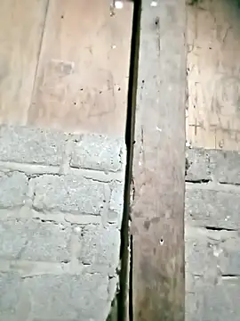 Noelle-e online show from 02/22/26, 11:23