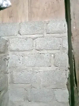 Noelle-e online show from 04/12/26, 12:08