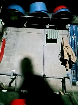 Noelle-e online show from 03/17/26, 11:52