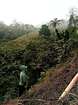 Snapshot of Phoena-a chatting on 03/21/26, 01:18 Phoena-a online show from 03/21/26, 01:18