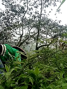 Snapshot of Phoena-a chatting on 03/24/26, 02:22 Phoena-a online show from 03/24/26, 02:22