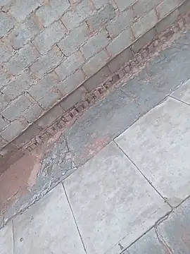 Snapshot of younggblackkCOCK19 chatting on 11/03/25, 03:26 younggblackkCOCK19 online show from 11/03/25, 03:26