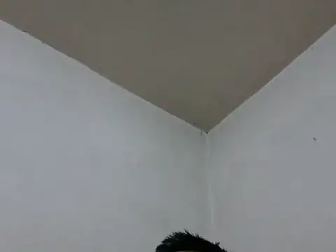 GordoChancludoSLP online show from 11/25/25, 04:46