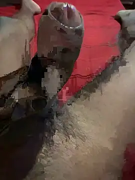 vijay20k online show from 03/03/26, 08:16