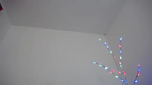 Mia fox29 online show from 12/17/25, 11:26