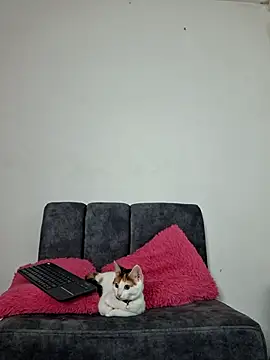 Mia fox29 online show from 11/13/25, 11:14