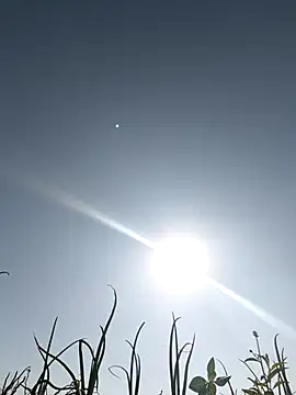 devil boy 0909 online show from 03/05/26, 03:47