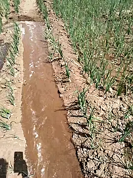 devil boy 0909 online show from 03/18/26, 06:05