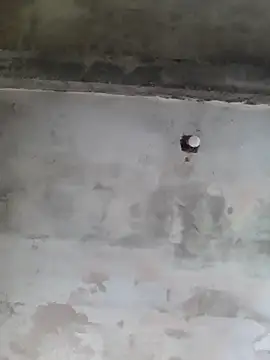 AlanMargin online show from 11/08/25, 06:22