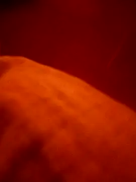 pampa4456 online show from 03/17/26, 03:42