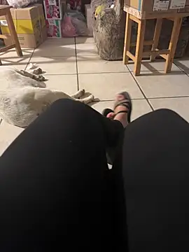 Evil kitty6 online show from 12/15/25, 12:27