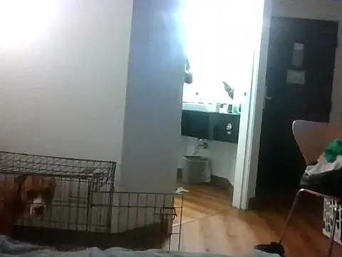 TheRealKnottiHead online show from 10/27/25, 11:22