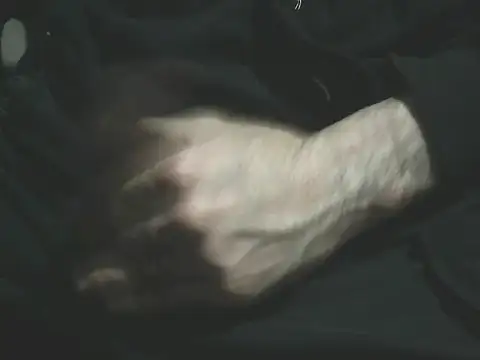 giovanift111 online show from 01/10/26, 12:50