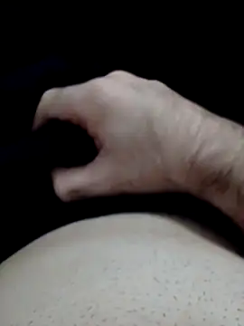 fe96 online show from 11/11/25, 03:56