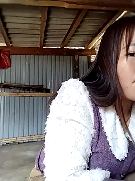 Snapshot of emini-xx chatting on 02/17/26, 06:33 emini-xx online show from 02/17/26, 06:33