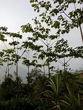 doggy-00 online show from 03/20/26, 10:05