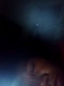 bella-la online show from 11/22/25, 11:03