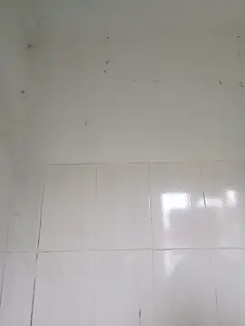 bella-la online show from 02/12/26, 12:54