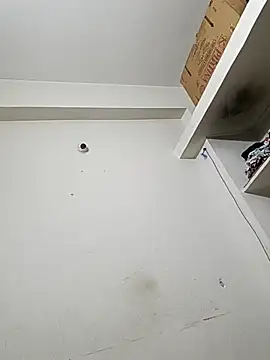 bigtelugubhama online show from 12/14/25, 11:54