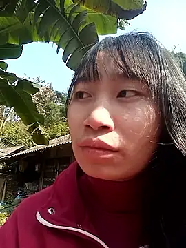 Linh sexy98 online show from 01/12/26, 03:24