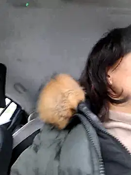 Piediniecollant online show from 12/16/25, 09:24