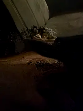 centro6891 online show from 10/31/25, 11:22