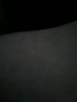 EchoVibe 86 online show from 03/11/26, 05:07
