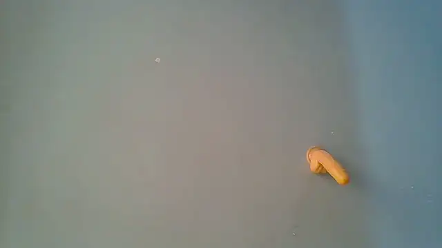 sashachin online show from 03/19/26, 06:02