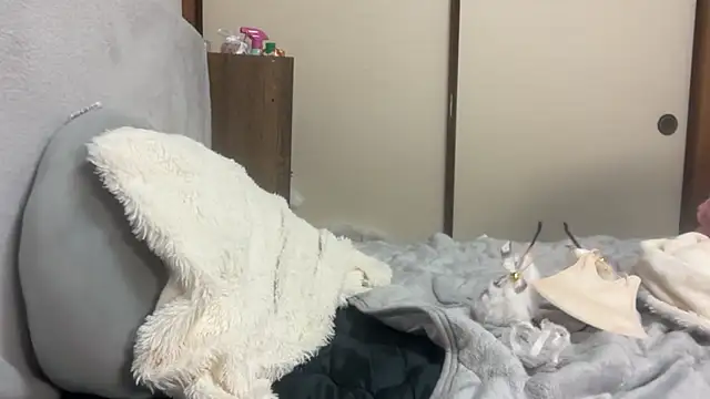 tubakiaki online show from 04/01/26, 01:41