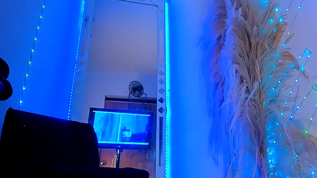 wild best online show from 11/08/25, 08:01