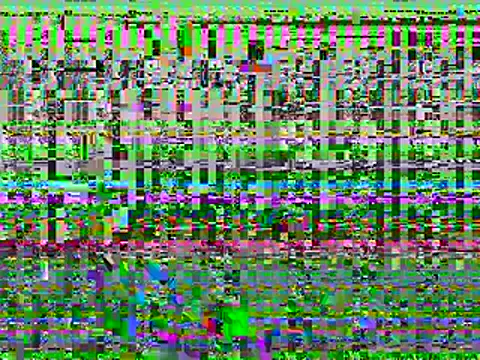 Dyskizly online show from 02/22/26, 05:43