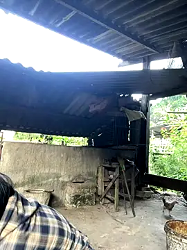 heodat-sexx online show from 11/27/25, 12:33