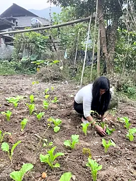 heodat-sexx online show from 12/20/25, 09:45