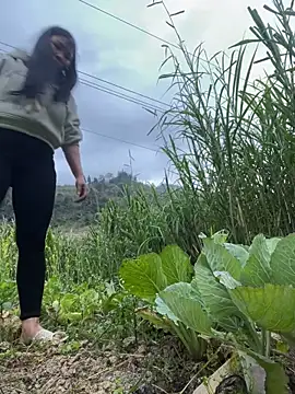 heodat-sexx online show from 12/17/25, 09:47