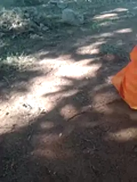 Anju setty online show from 11/08/25, 07:12