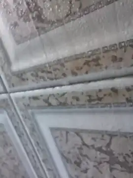 Snapshot of 3zekie1 chatting on 10/28/25, 02:16 3zekie1 online show from 10/28/25, 02:16