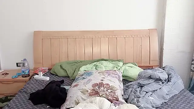 N228 online show from 12/05/25, 06:56