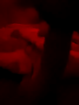 secretnovin7 online show from 10/31/25, 06:48