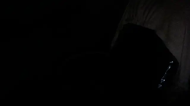 gygyfox online show from 11/21/25, 10:53