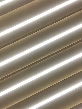 sabrinaneves online show from 03/11/26, 10:42